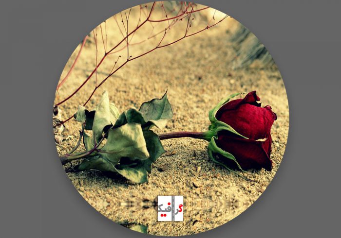 عکس پروفایل اینستاگرام دخترونه گل رز خشک شده که بر روی خاک افتاده شده است