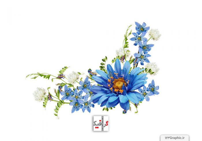 گل آبی مناسب برای حاشیه برگه